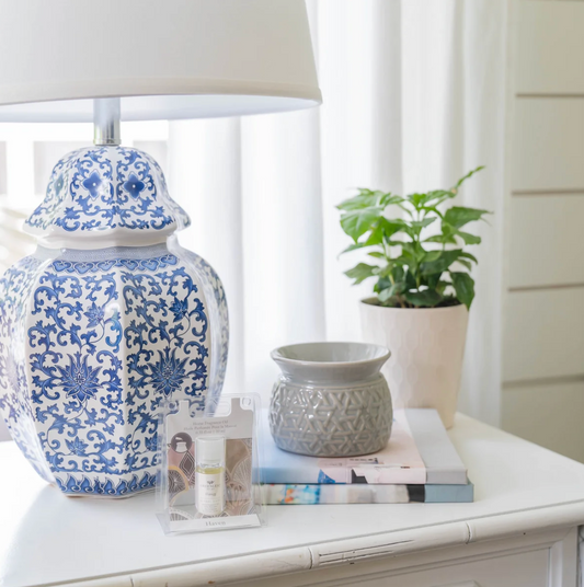 A blue and white porcelain-style table lamp with a decorative patterned base sits on a white side table beside a small gray textured vessel, books, and a potted green plant in a bright indoor setting.