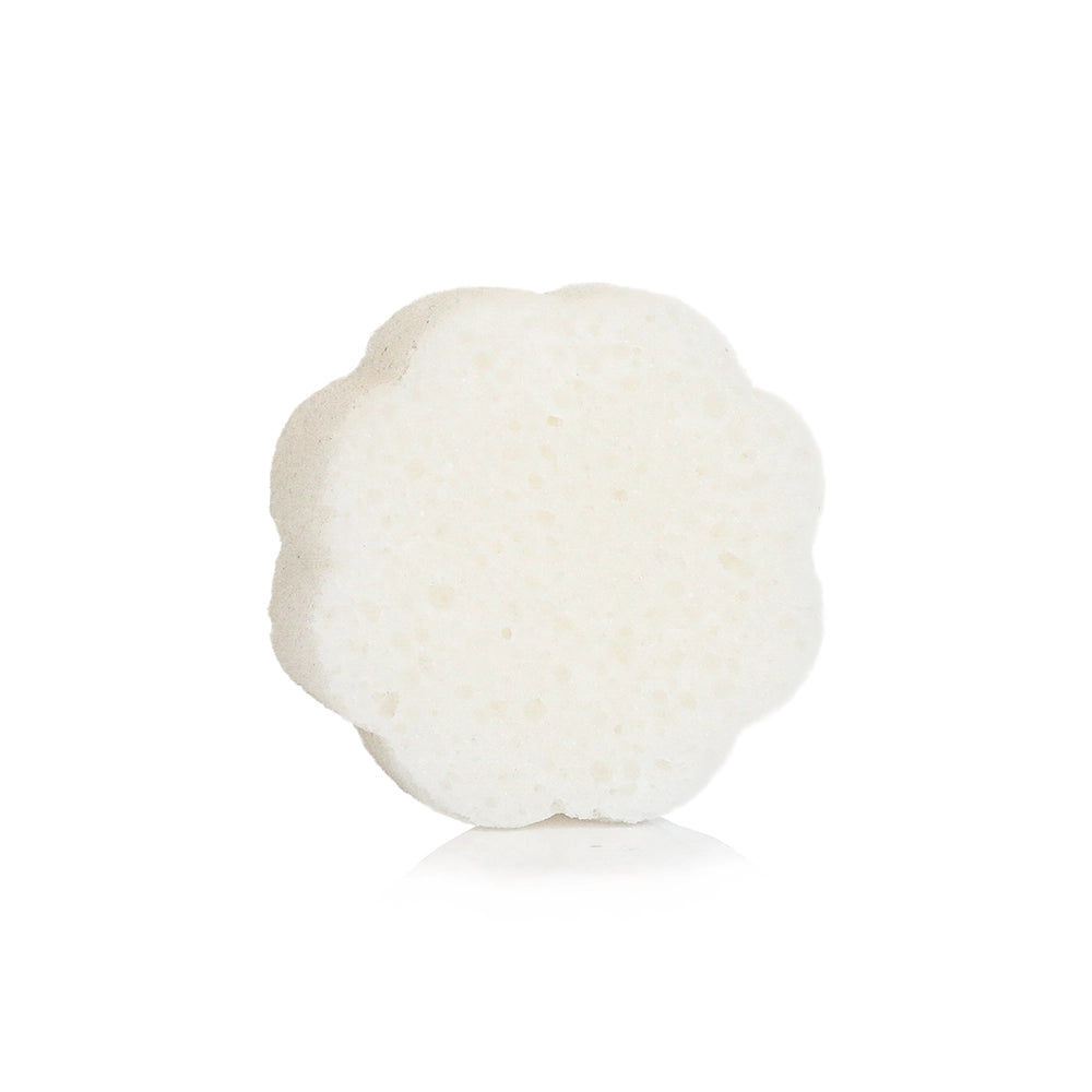 White flower on a white background