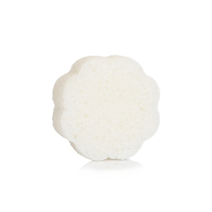 White flower on a white background