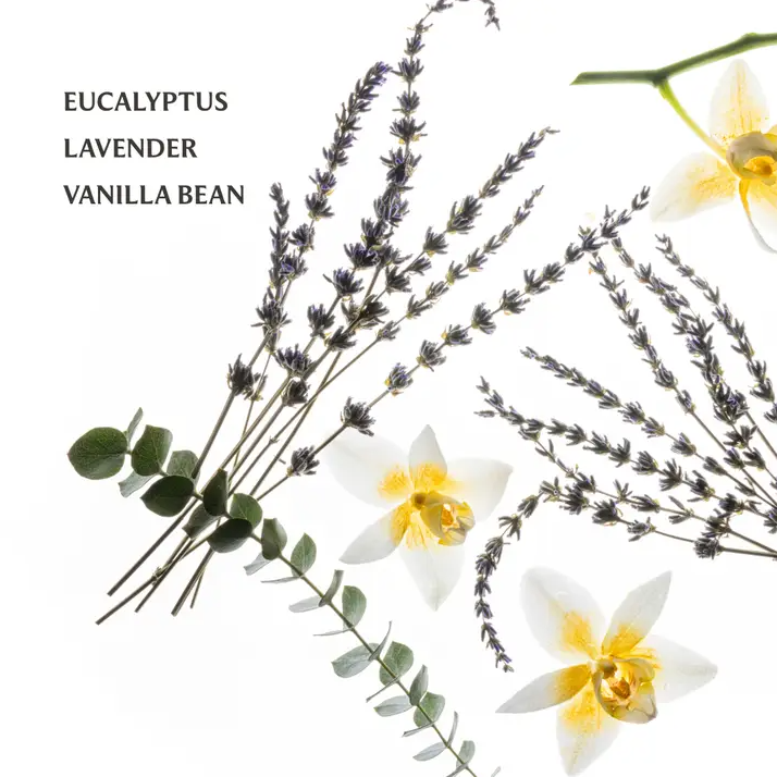 Pure Lavender Power Mist Hand Sanitizer
